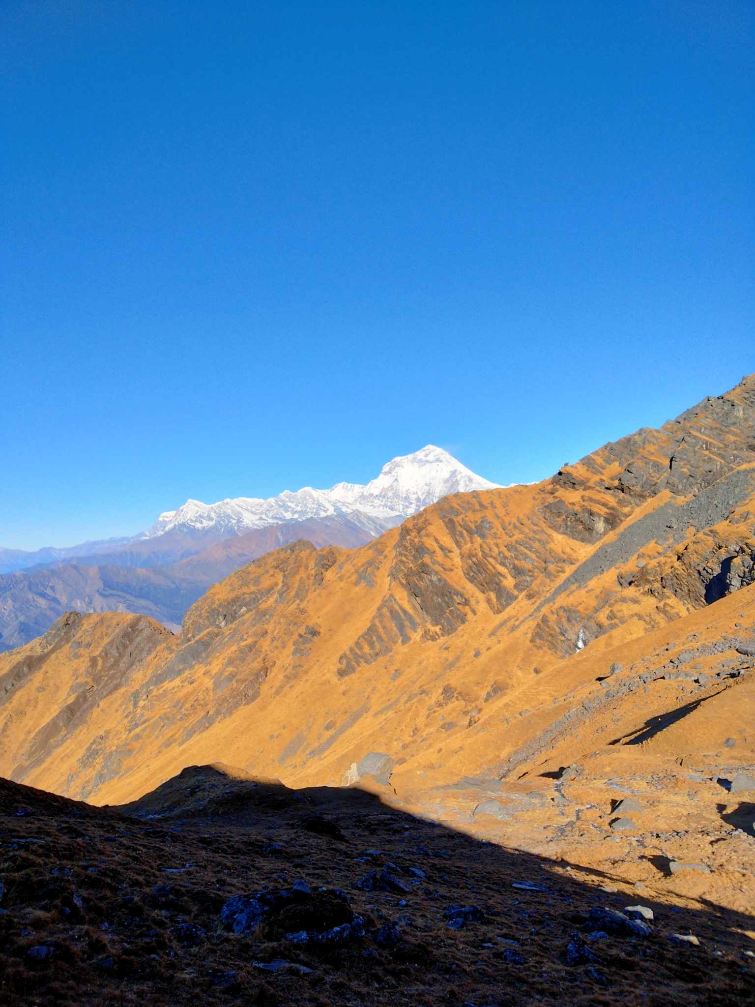 Mohare Danda Khopra Ridge Trek photo 5