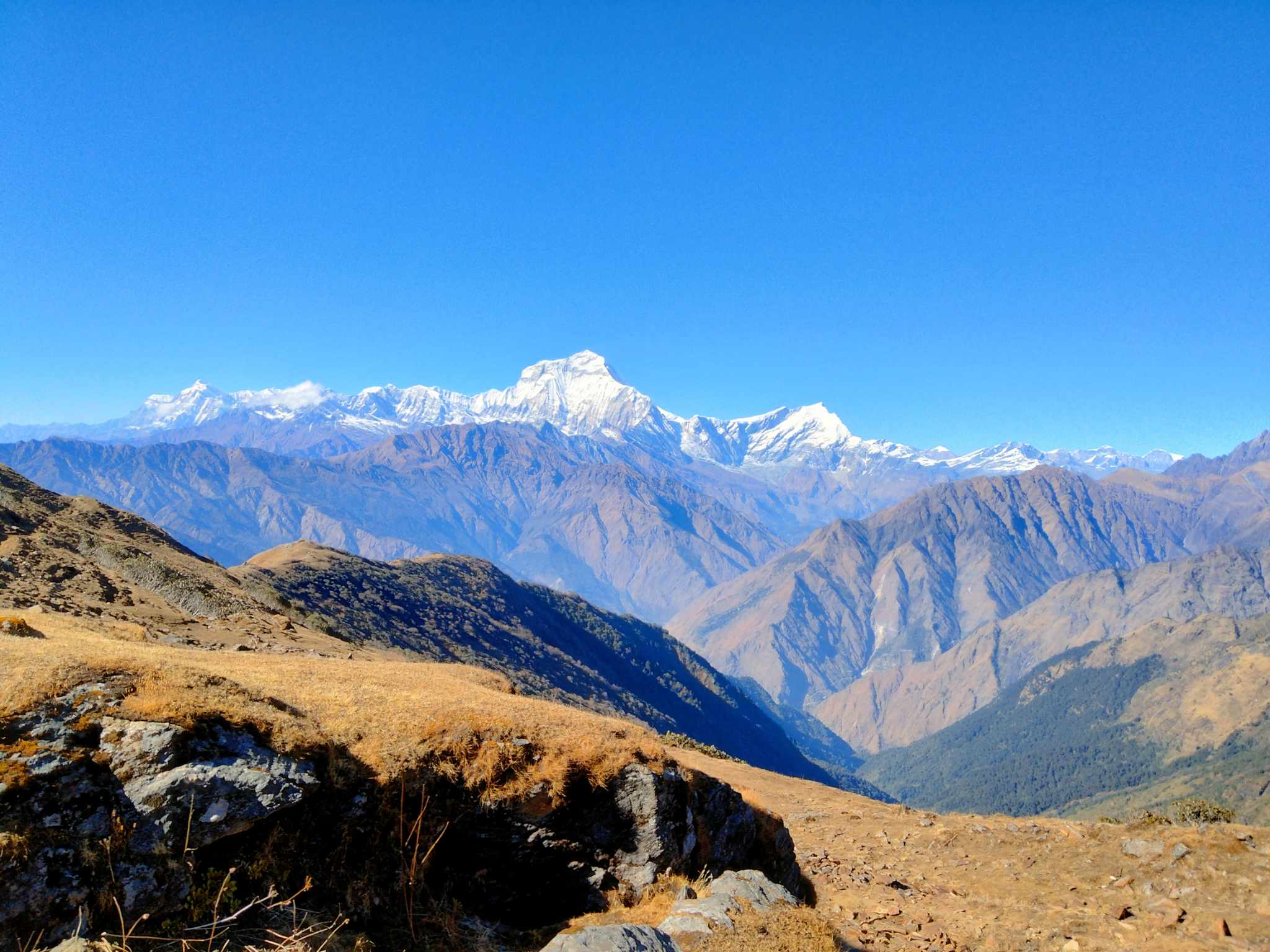 Mohare Danda Khopra Ridge Trek photo 4