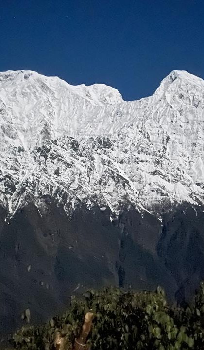 Mardi Himal Trek - A 4-Day Journey Unveiled